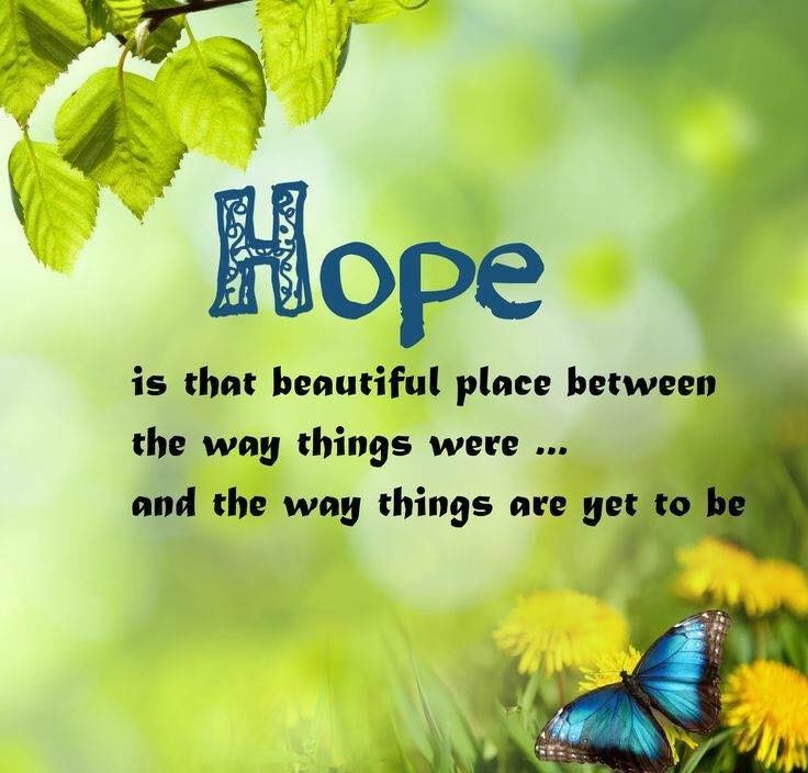 An image of a blue butterfly on a leaf with the following text "Hope is that beautiful place between the way things were...and the way things are yet to be"
